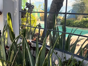 Vista attraverso una finestra con cactus e piscina.