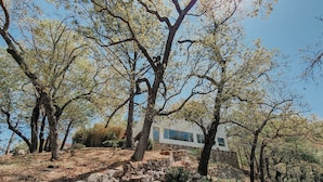 Una casa moderna circondata da alberi e un vialetto in pietra.