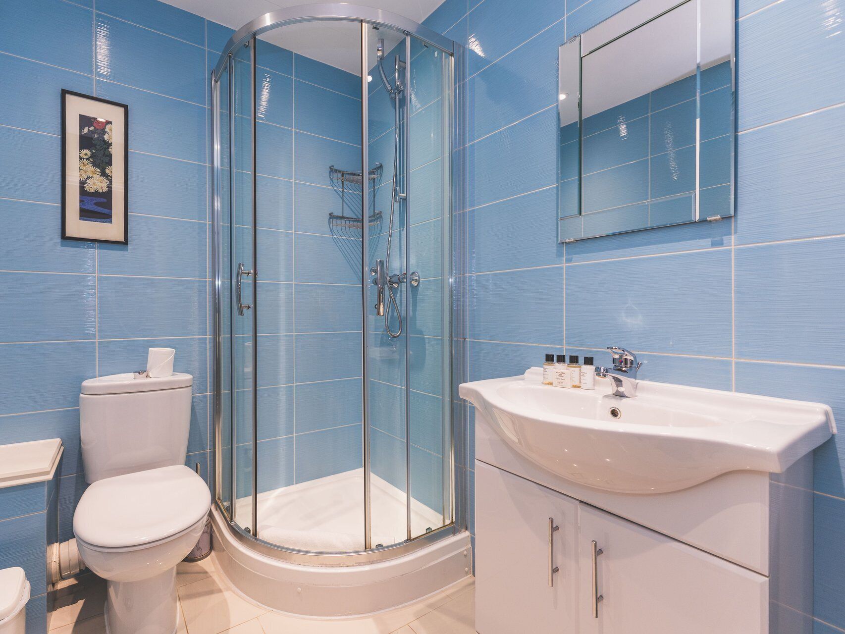 Shower, hair dryer