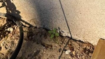 Detalle del exterior