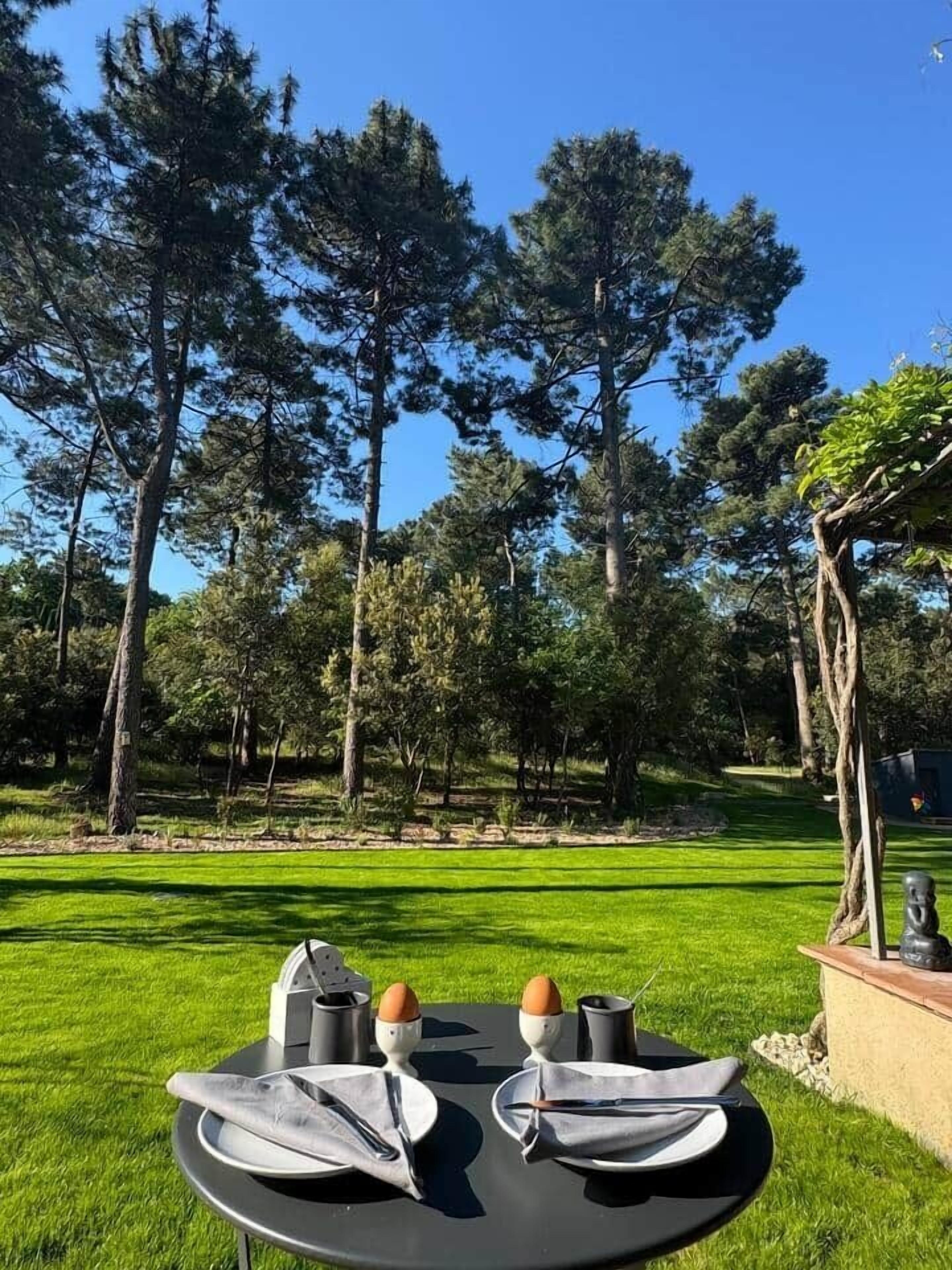 Restauration en plein air