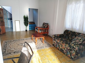 Una sala de estar con un sofá, una mesa de centro de madera, un tapete estampado y una planta en maceta.