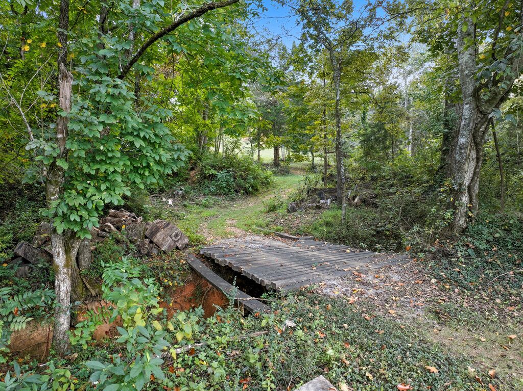 A natural outdoor setting with a wooden bridge over a stream, surrounded by trees and greenery.