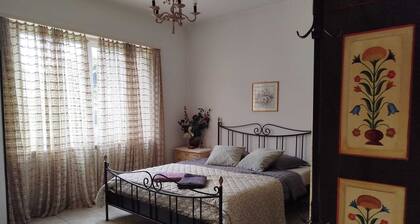 In the center of Canton Ticino, within the Piano di Magadino Park.