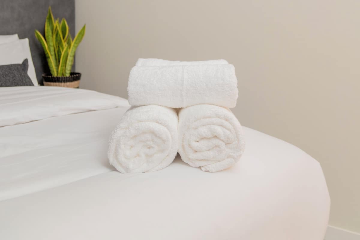 Standard Studio, Garden View