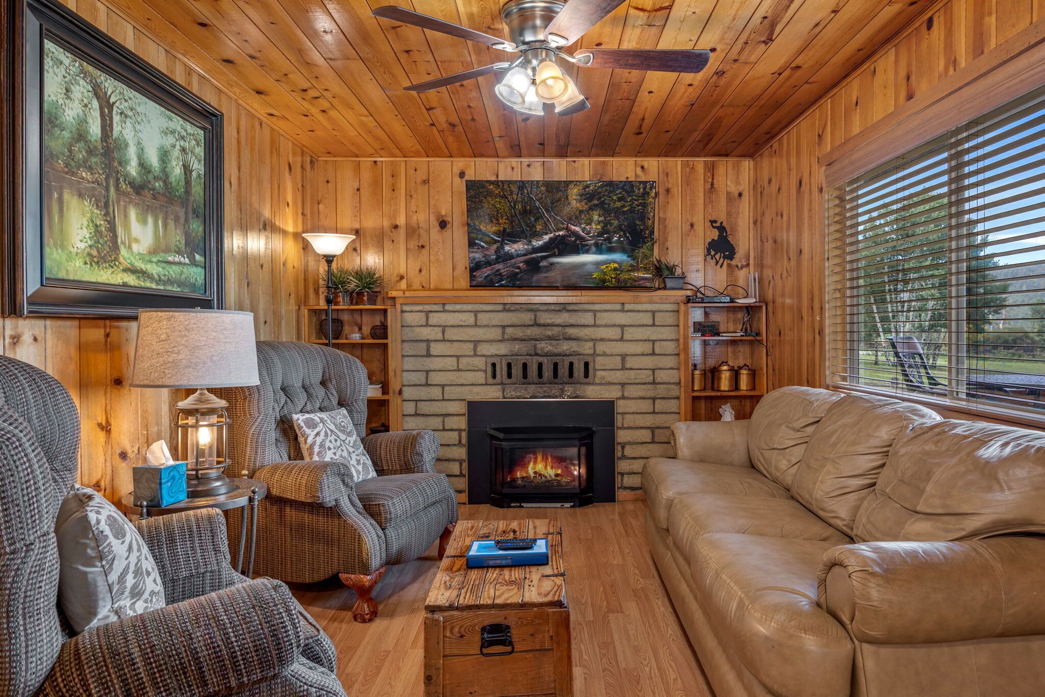 TV, fireplace
