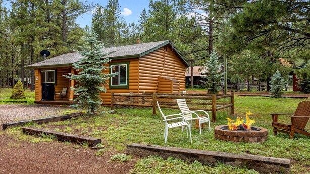A log cabin with a fire pit and outdoor seating. - Lazy Trout Aspen Cabin (Greer)