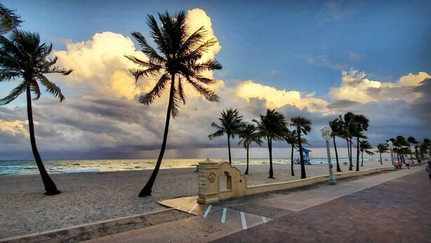 A beach with palm trees, a lifeguard tower, and a clear view of the ocean. - Cozy vacation home w/ a spacious outdoor area. Near to great beaches and casinos (Hollywood)