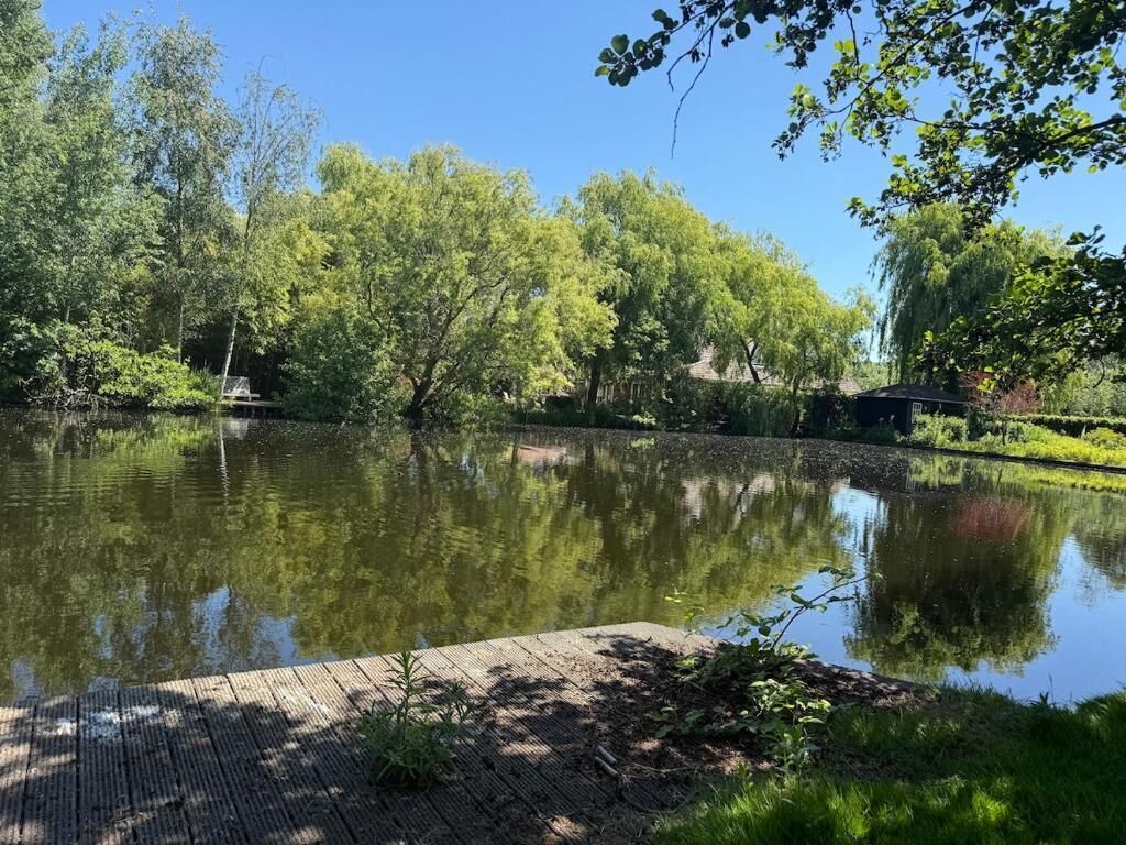 Een rustig meer, omringd door weelderige begroeiing en bomen.