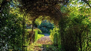 A garden pathway under a vine-covered archway. - LE DOMAINE DU PETIT TERTRE (Sainte-Sabine-sur-Longève)