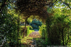Property grounds - LE DOMAINE DU PETIT TERTRE (Sainte-Sabine-sur-Longève)
