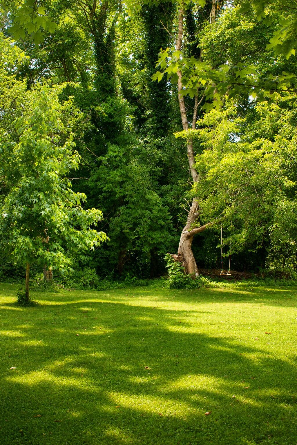 Un parque verde y exuberante con árboles y césped.