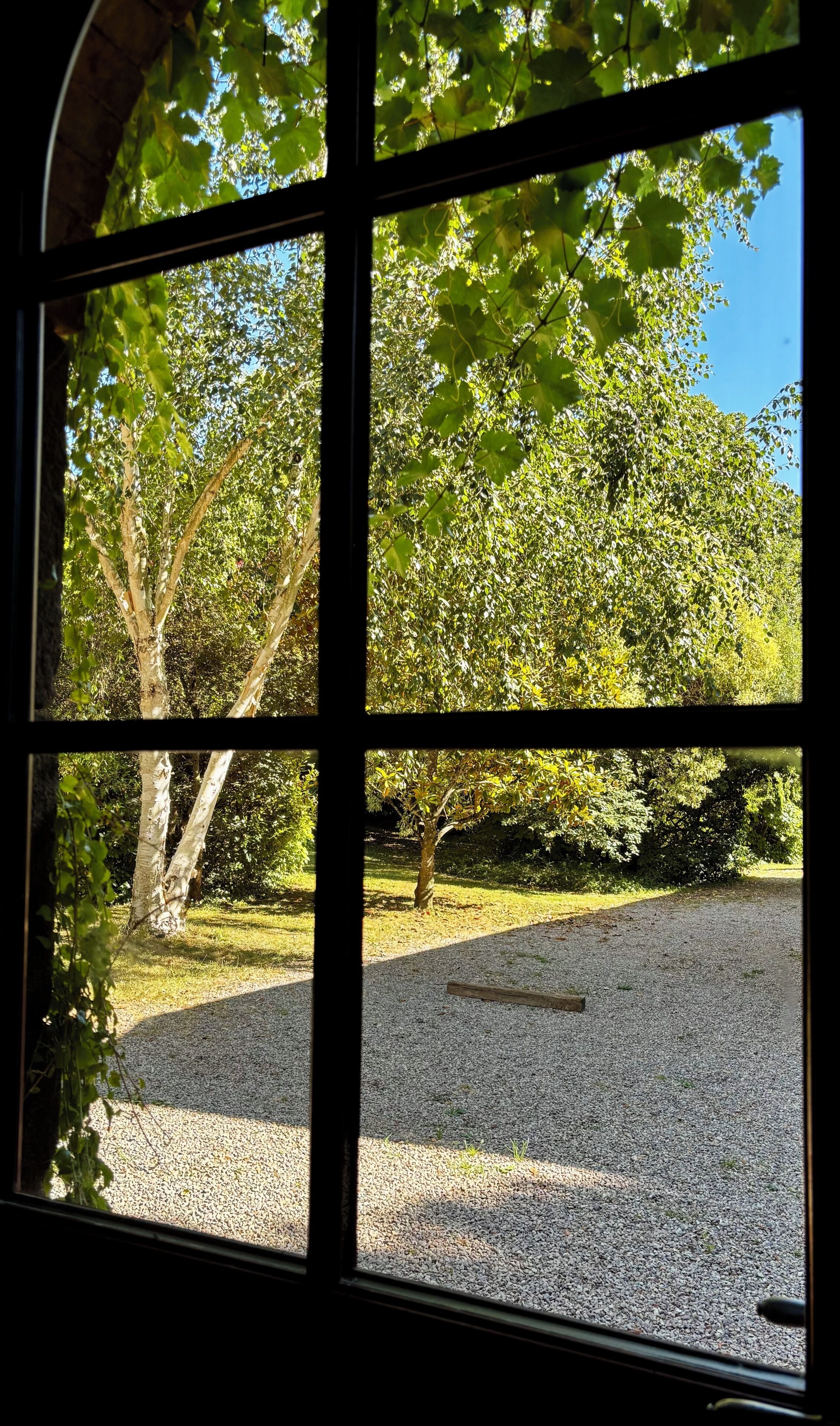 A window view of a gravel path with trees and a clear sky.