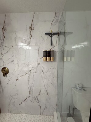 Shower, hair dryer, bidet, towels - Paradise Haven drive heated pool and spa (Clearwater)
