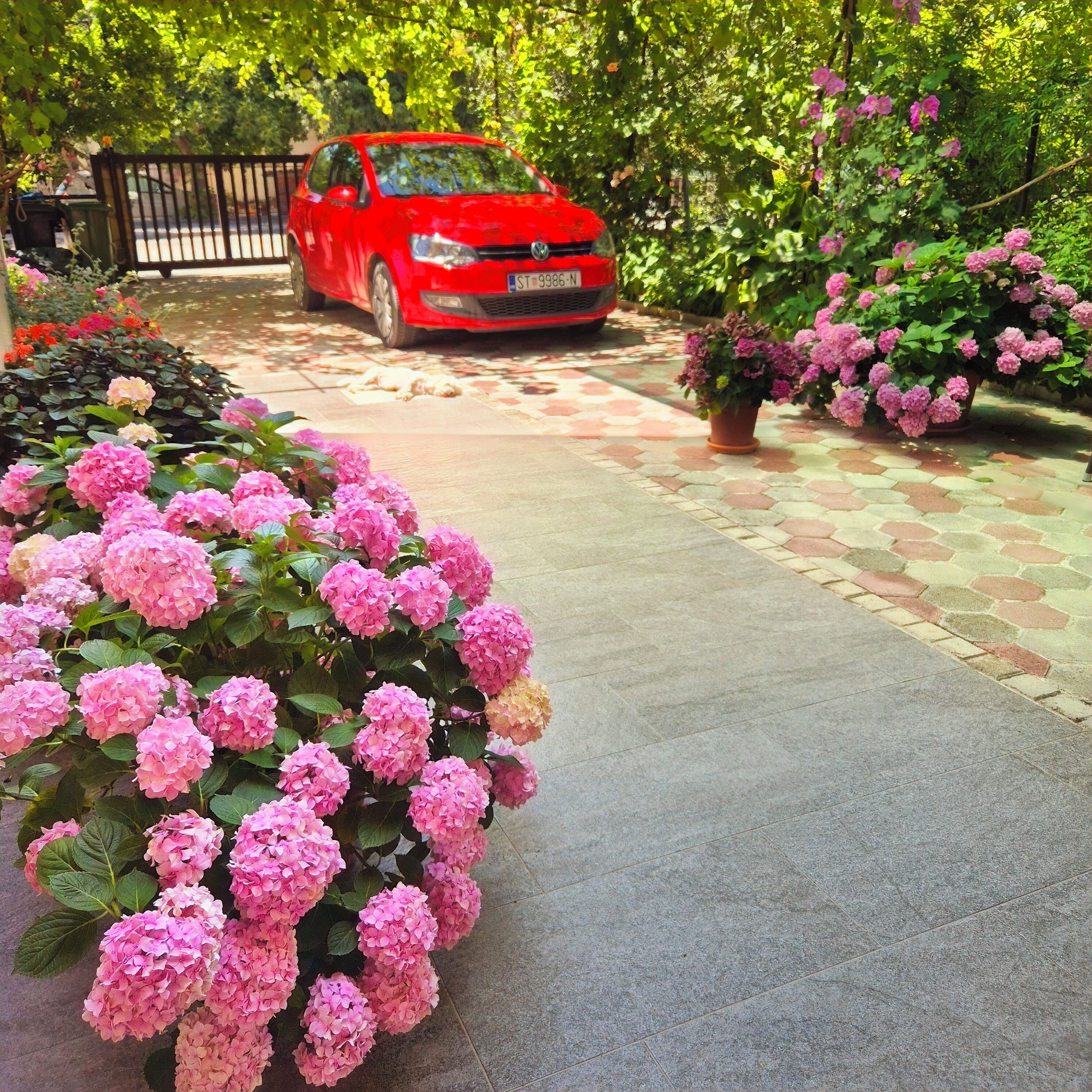 Une voiture rouge est garée sur une allée pavée, avec un jardin en premier plan.