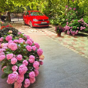 Un coche rojo estacionado en un camino de entrada pavimentado, con un jardín al frente.