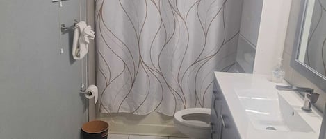 Hair dryer, towels, soap, toilet paper