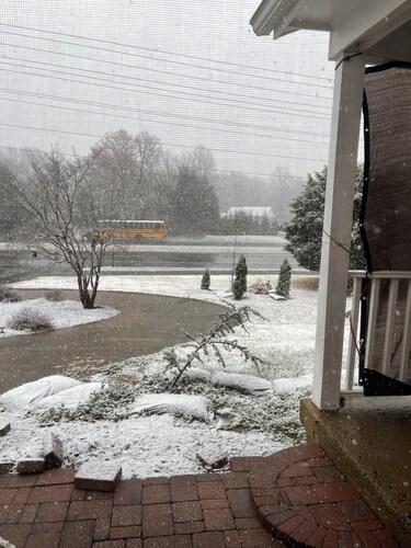 Adorable 1-bedroom apartment with AC in charming Manassas