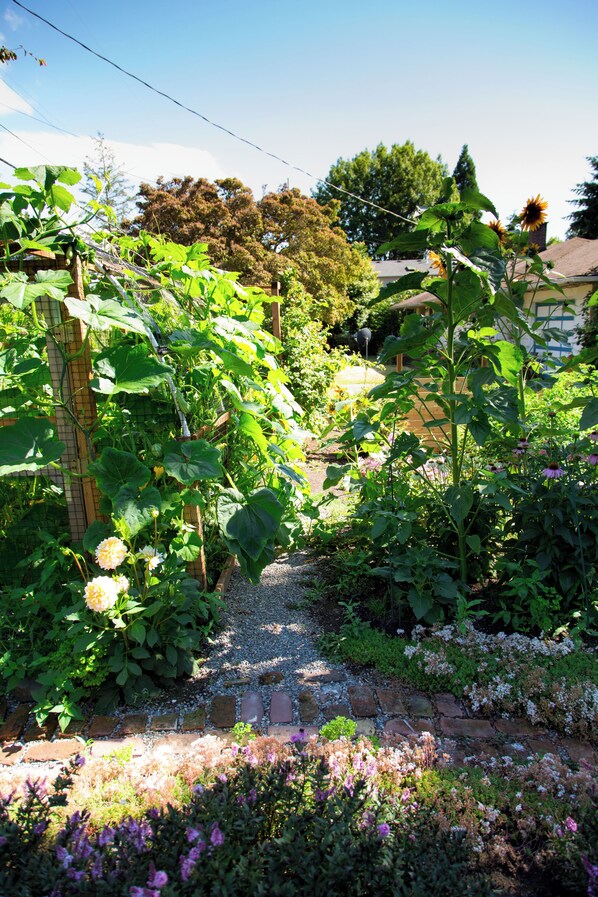 Un jardin avec un chemin en briques, différentes plantes et une clôture en bois.