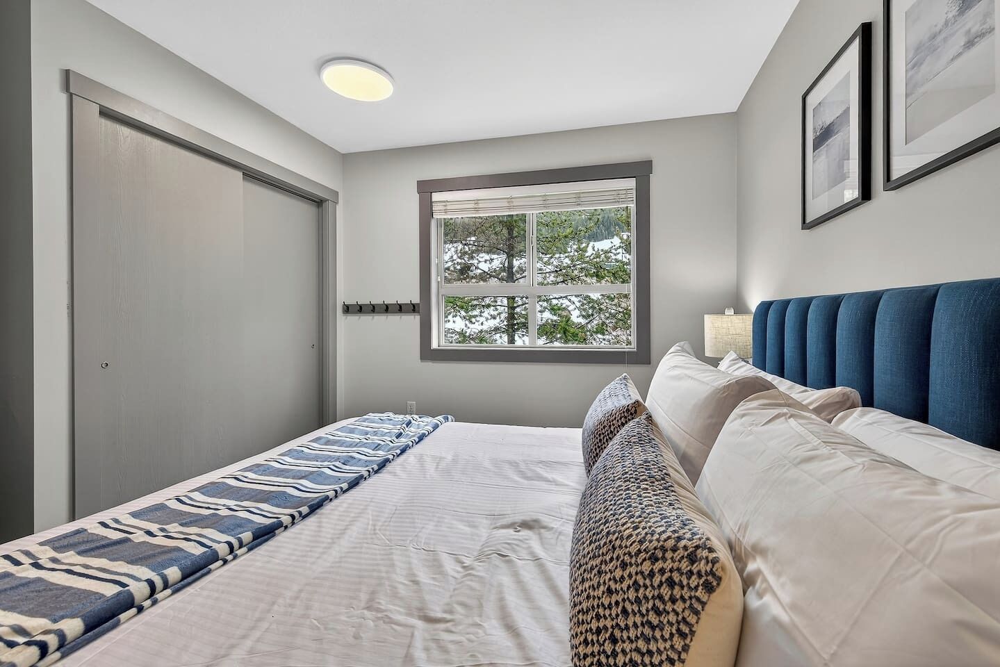 Desk, WiFi, bed sheets