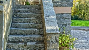 Una escalera de piedra que lleva a un edificio con un farol y plantas en macetas.