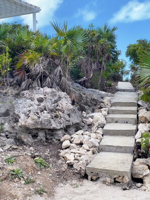 Eine Betonstiege führt einen steilen, felsigen Hang mit tropischer Vegetation hinauf.