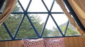 Ein Zimmer mit einem großen fenster mit Rautenmuster, einem gemusterten Vorhang und Blick auf Grün.