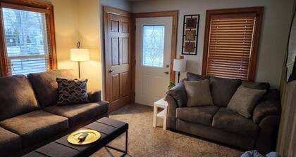 The Appleton Downtown Den