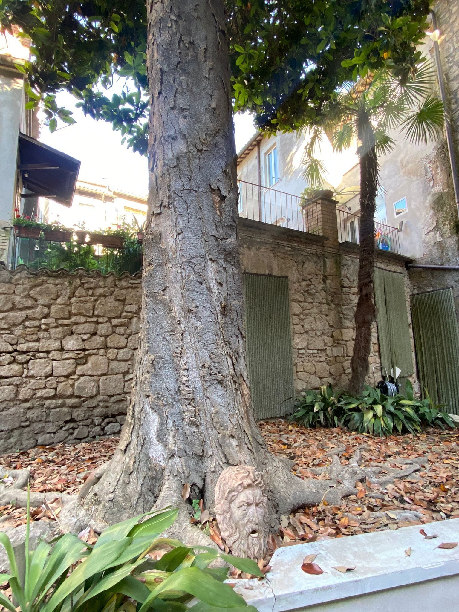 A tree with a stone wall and a metal gate in a residential area.