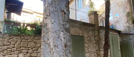 A tree with a stone wall and a metal gate in a residential area.