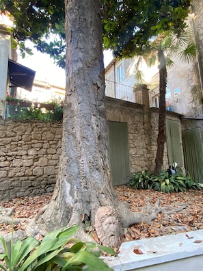 Un árbol con un muro de piedra y una reja en una zona residencial.