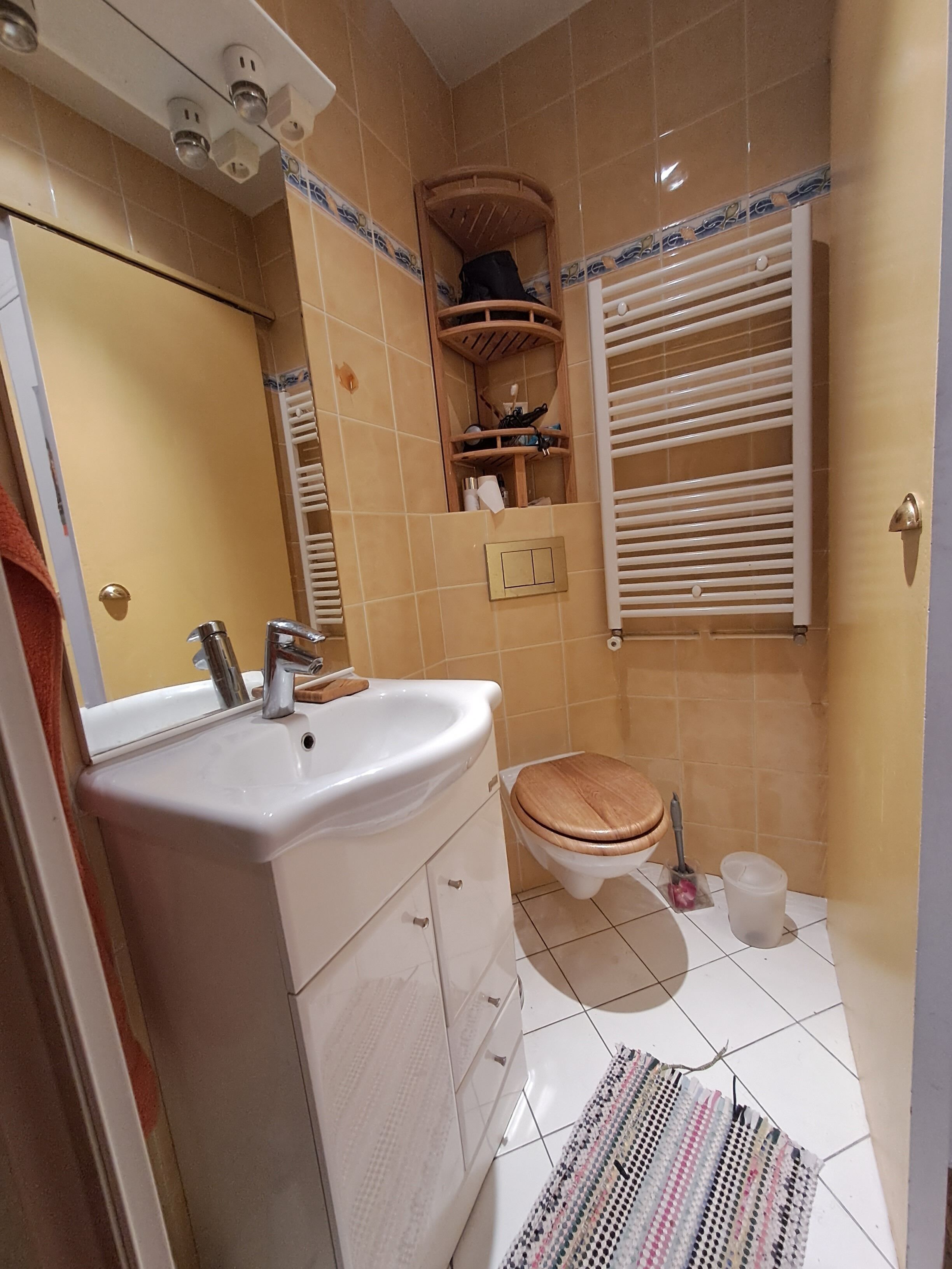 Secadora de cabello, toallas, jabón, papel de baño 