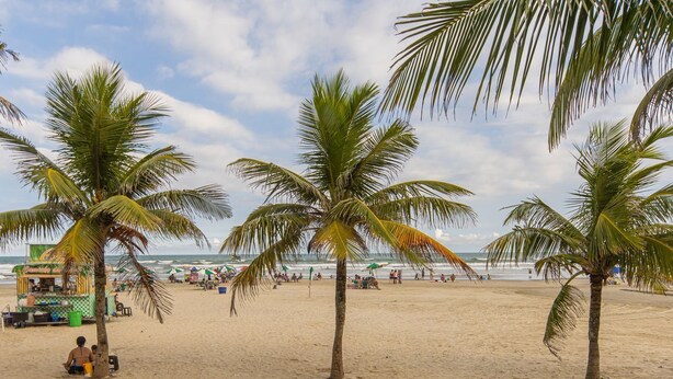 Ein Strand mit Palmen, einem Essensstand und sandigem Ufer.