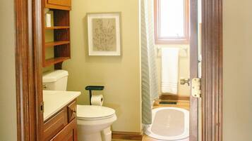Shower, jetted tub, hair dryer, bidet