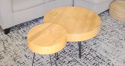 Modern Boho Apt 2Bd/2Ba WITH Sofa Bed near UTRGV