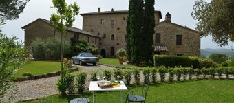 Signorelli