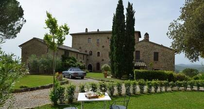 Signorelli