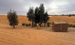 Miscellaneous - Oasis family camp (Merzouga)