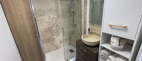 Regadera, secadora de cabello, jabón, papel de baño