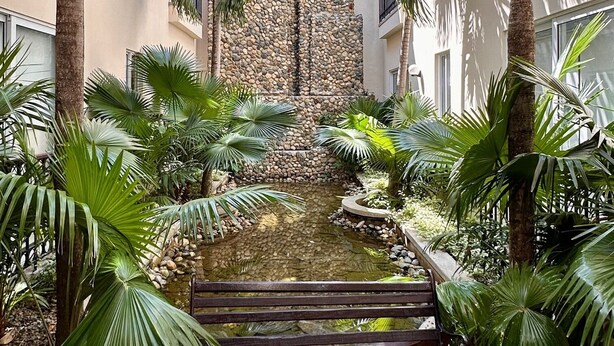 A courtyard with a central water feature, surrounded by palm trees and a bench. - Casa Sisiguaca by Xarm Apartments (Santa Marta)