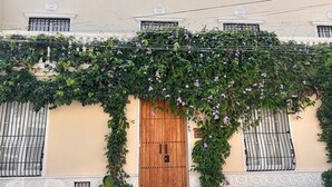 A building with a wooden door, barred windows, and a wall covered in climbing plants. - Casa Sisiguaca by Xarm Apartments (Santa Marta)