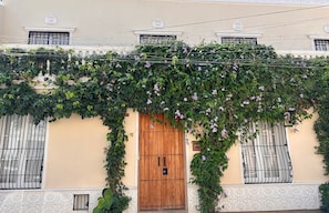 Detalle exterior