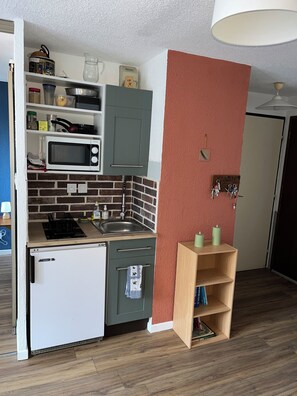 Private kitchen - L'Ecr'Ain Montagnard, bright south-facing apartment at the foot of the slopes (Lelex)