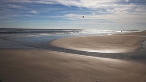 Een strand met een gebogen kustlijn, een heldere lucht en vogels die vliegen.