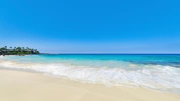 Condo, 1 Queen Bed (Kona Magic Sands#305) | Beach