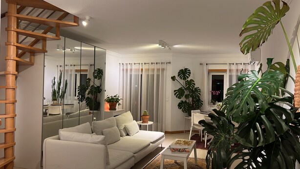 Una sala de estar moderna con un sofá blanco, una escalera de madera y plantas verdes grandes.