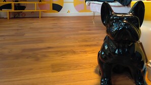 Una habitación con suelo de madera, una figurita de perro negro, un televisor mostrando la pantalla de inicio y una pared con estampado.
