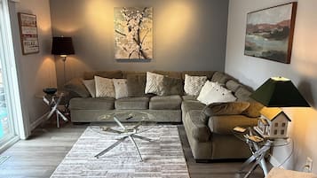 TV connectée, cheminée, livres