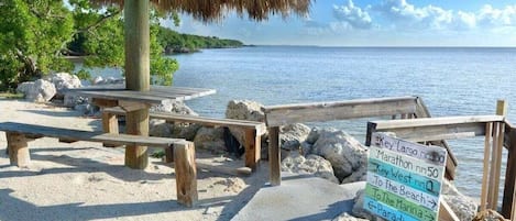 Sun loungers, beach towels