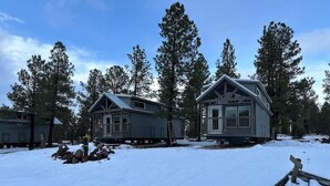 Een chalet met een veranda, omringd door sneeuw en hoge bomen.